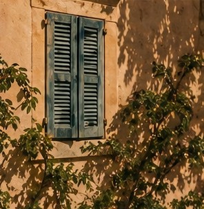 Volets bleus et lierre